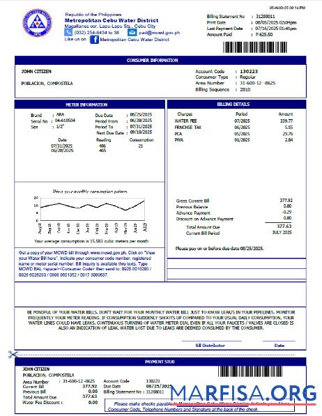 Realistic Philippines Metropolitan Cebu Water District utility bill template in Word and PDF formats